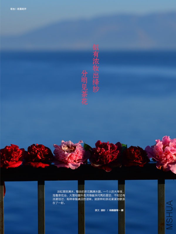 花也�