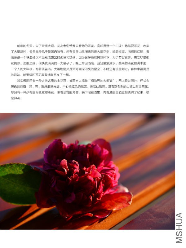 花也�