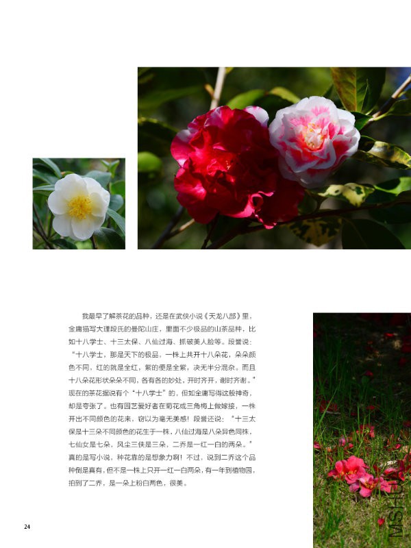 花也�