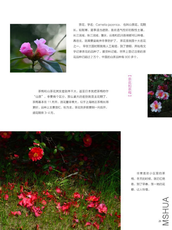 花也�