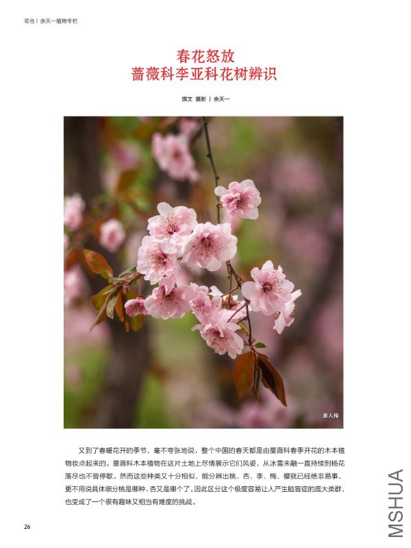 花也�
