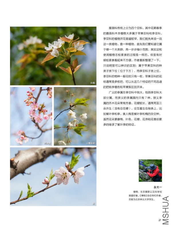 花也�