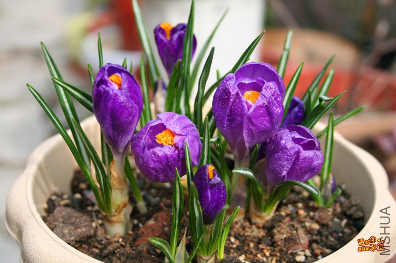 ��Ƭ 049_����.jpg