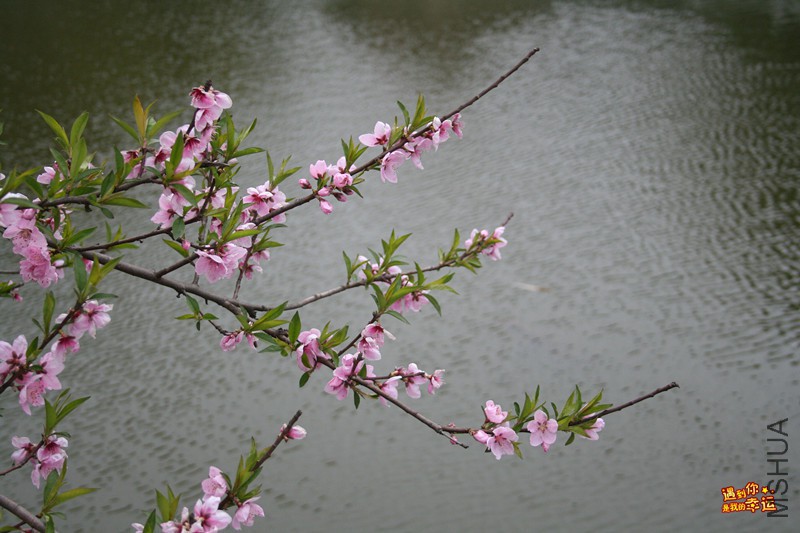 ��Ƭ 095_����.jpg