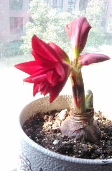 QQ��ͼ20160330093845.jpg