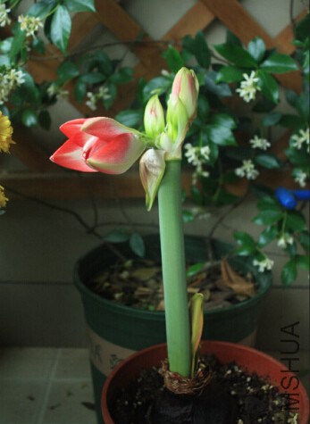 QQ��ͼ20160330093923.jpg