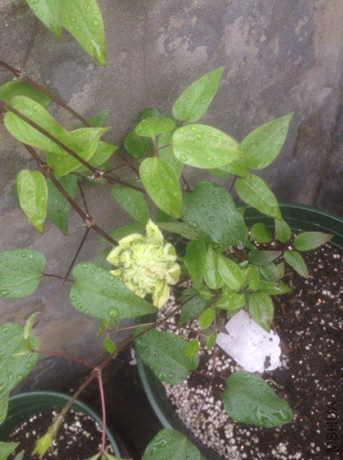 �ʵ�1׼������