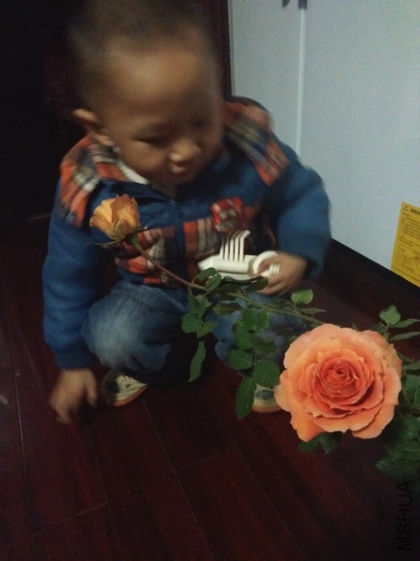 IMG_20160318_183156.jpg