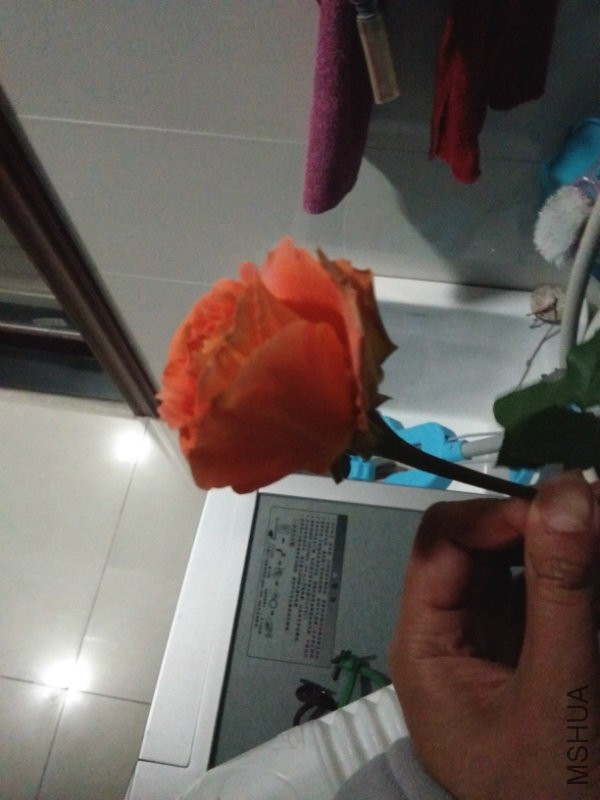 IMG_20160316_190632.jpg