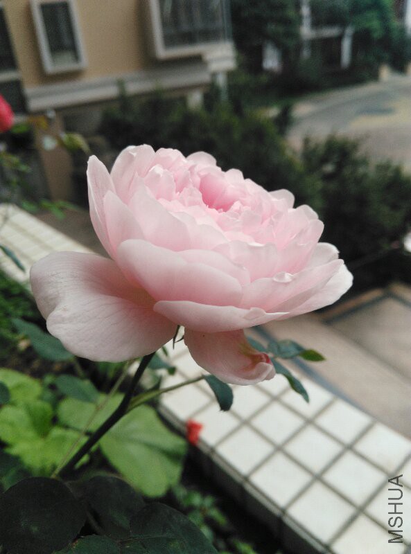 IMG_20160330_173749.jpg