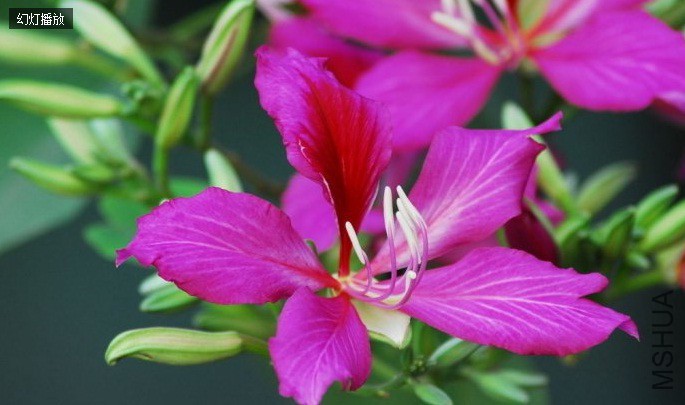 �����Ͼ���