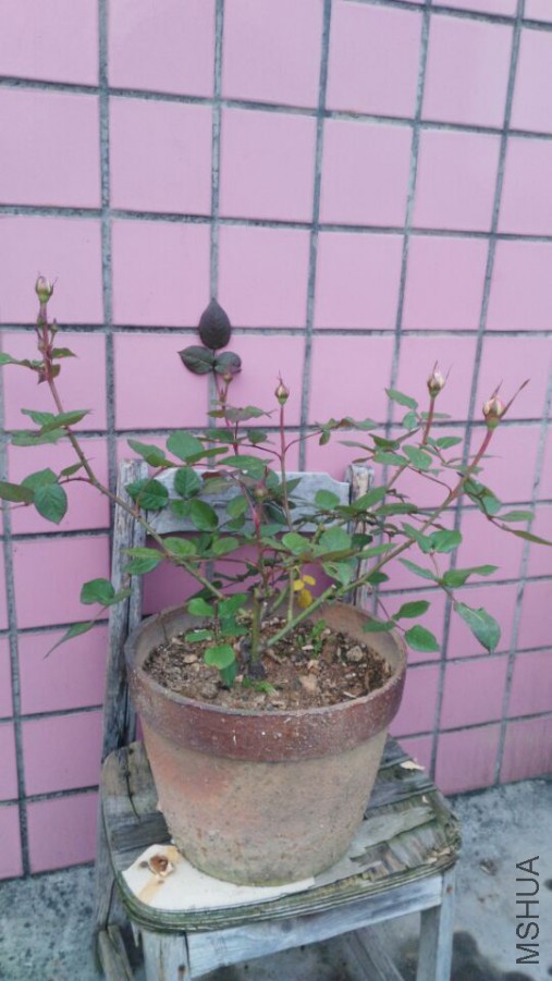 QQͼƬ20160331100629.jpg