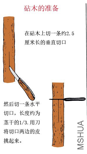 δ����-1.jpg