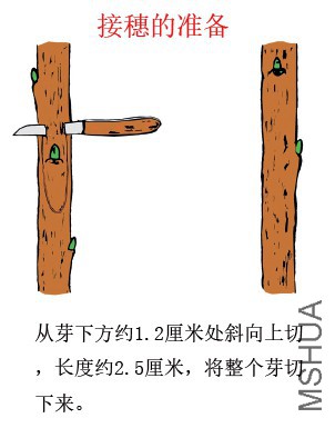 δ����-2.jpg