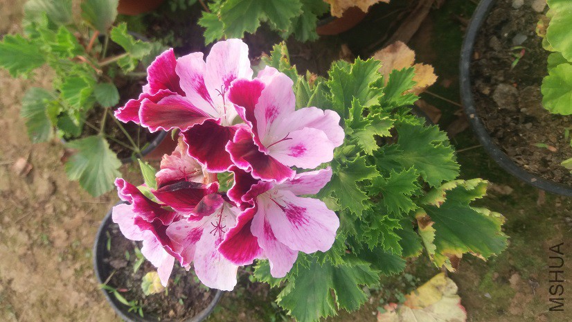 20160324_163518.jpg