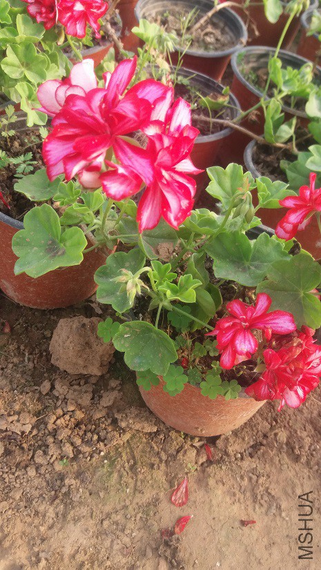 20160324_163636.jpg