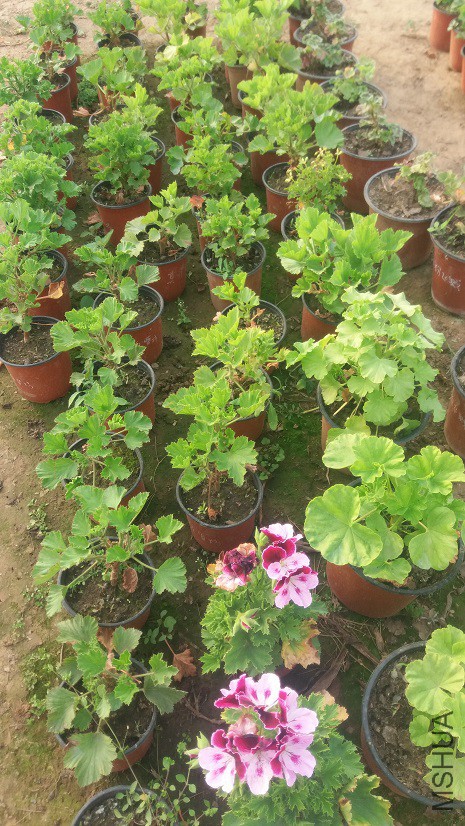 20160324_163807.jpg