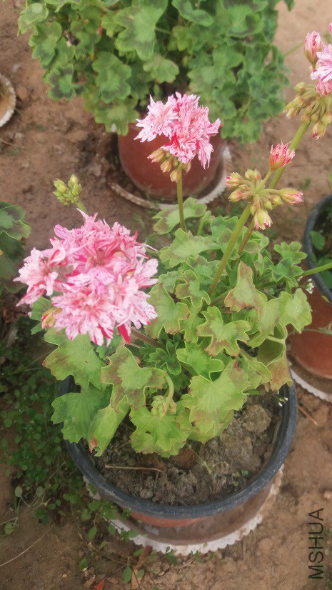 20160324_163604.jpg