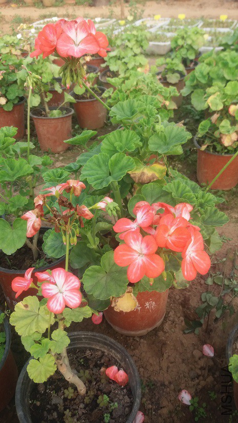 20160324_163703.jpg