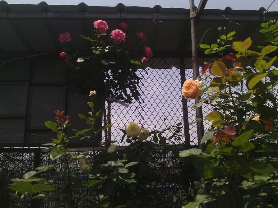 QQͼƬ20150413140319.jpg