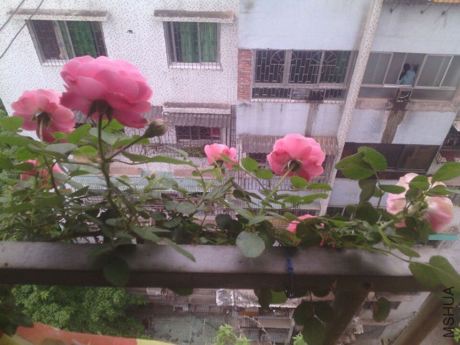 QQͼƬ20150418134128.jpg