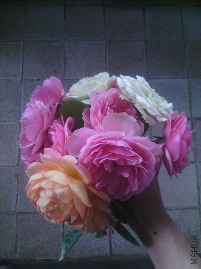 QQͼƬ20150421132930.jpg