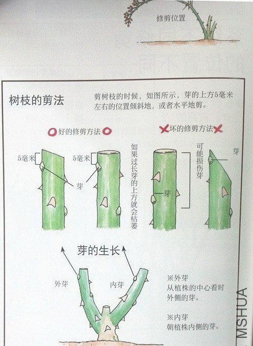 �淶�п�