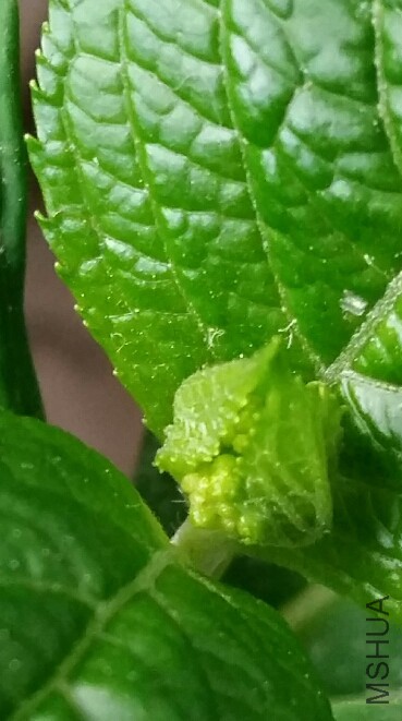 2016-03-31 18.05.54.jpg