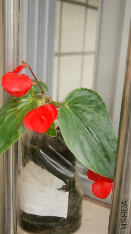 �Լ����ĵ����ļ�����