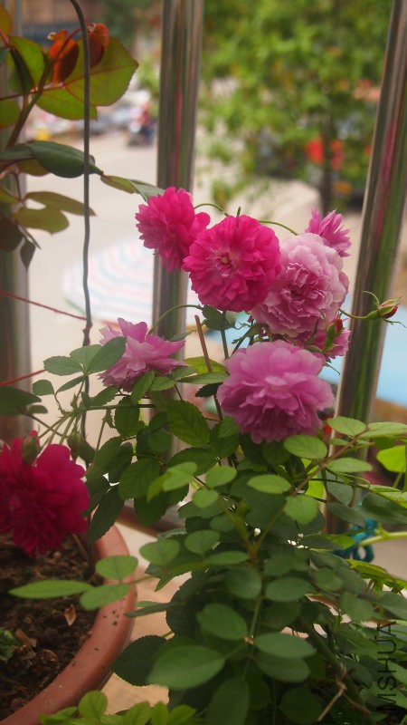 ��������һ�����ı�ѿ