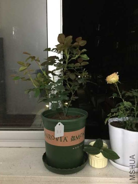 3.1������