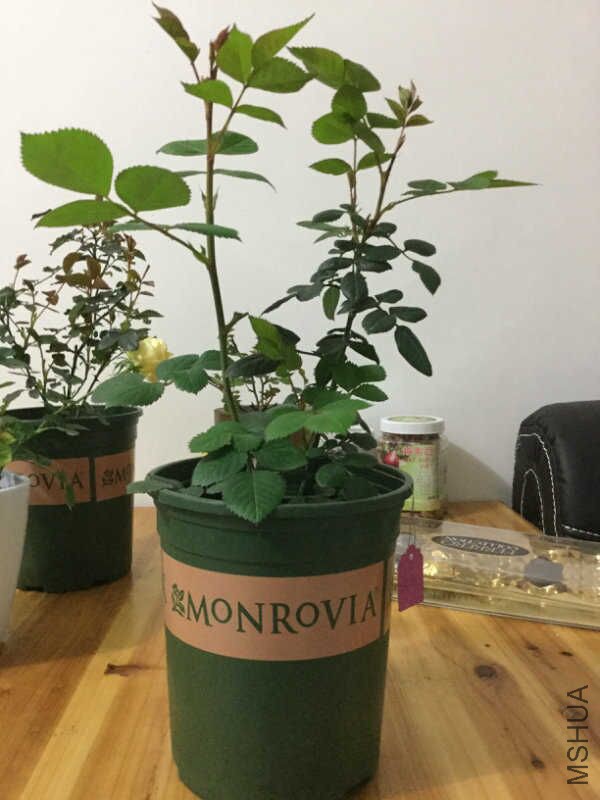 3.1ˮ����