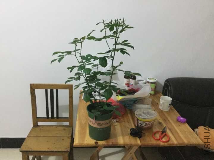 3.31ˮ����