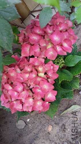 20160401_102615.jpg