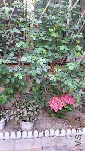 20160401_102636.jpg