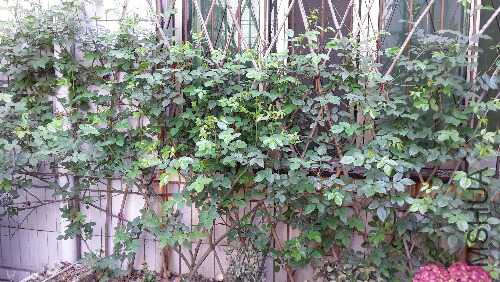 20160401_102652.jpg