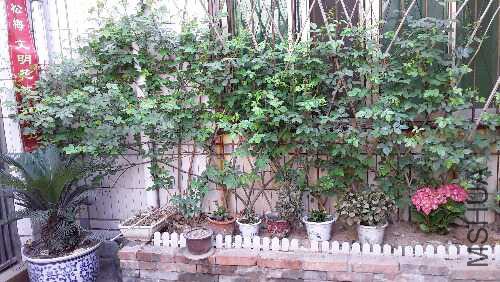 20160401_102703.jpg