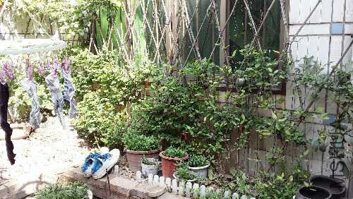 20160401_102714.jpg