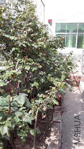 20160401_103033.jpg