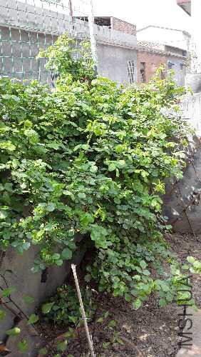20160401_103046.jpg