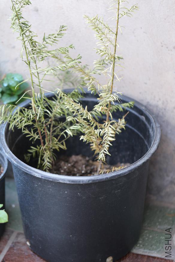 ������ռ���¼�������������������������춹ɼ.JPG
