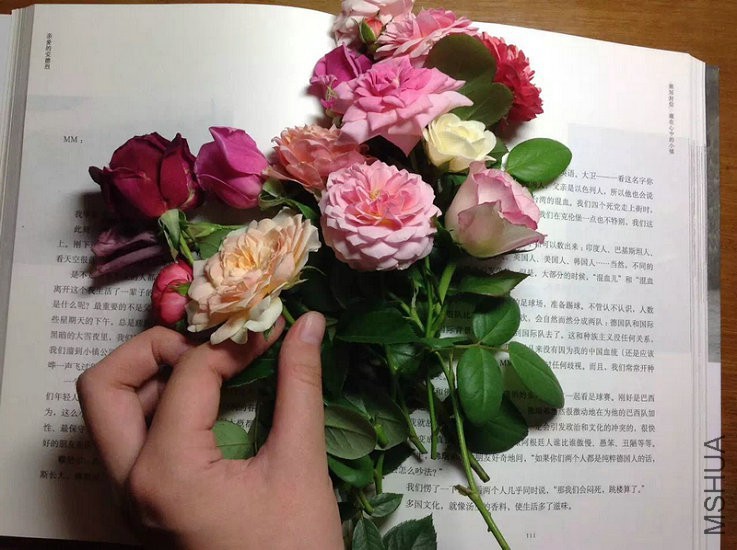 лл��ң�ȥ���Ļ��͸����