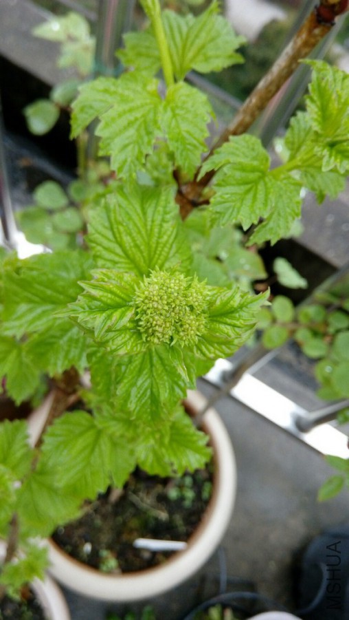 3.30������