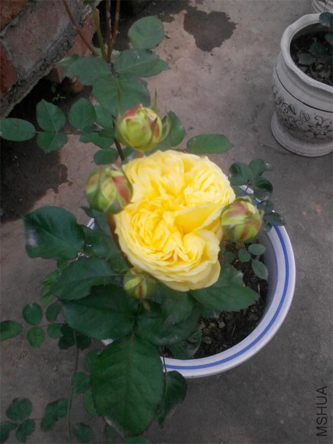 �����������������С