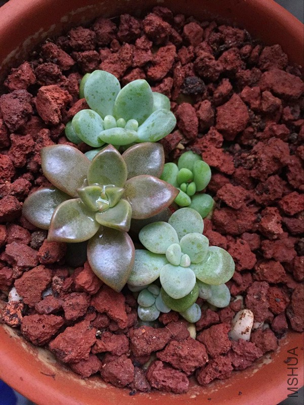 QQͼƬ20160401085808.jpg
