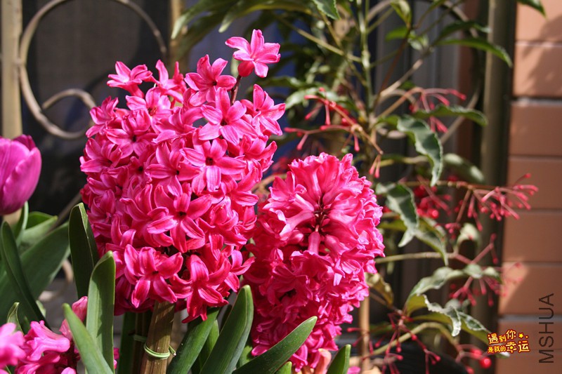 ��Ƭ 011_����.jpg