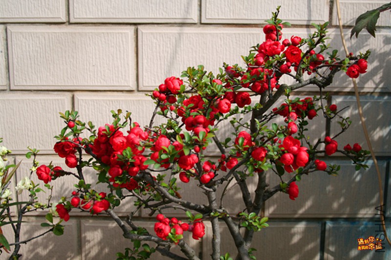 ��Ƭ 043_����.jpg