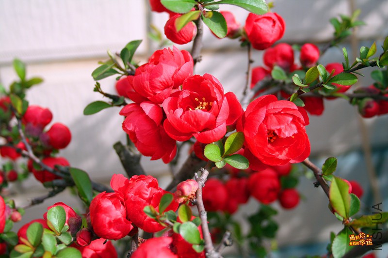 ��Ƭ 045_����.jpg