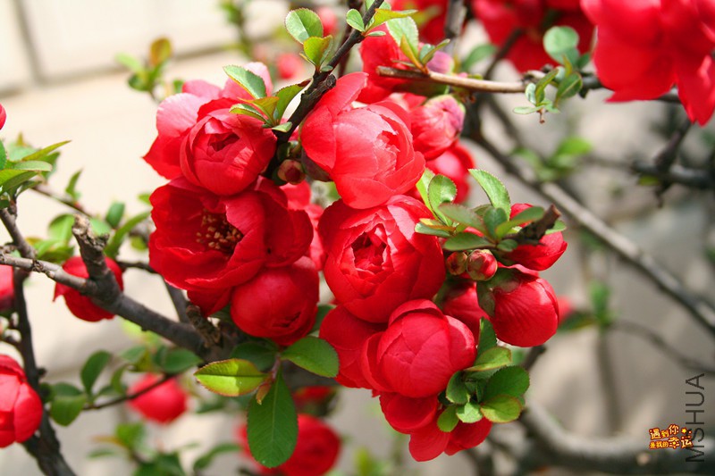 ��Ƭ 048_����.jpg