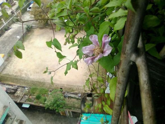 07245c6034a85edfc5db5f9c4e540923dc5475cb.jpg